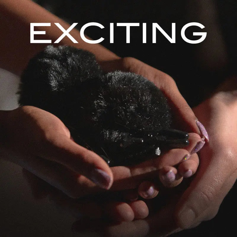 Noir Pom Adjustable Nipple Clamps Blush Novelty