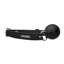 Punishment Silicone Ball Gag Punishment